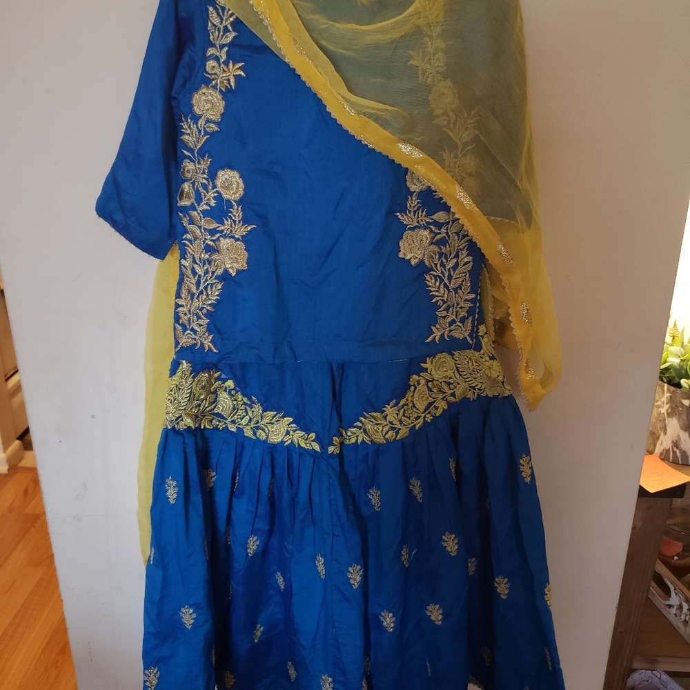 Indian/pakistani top and pants ( sharara)